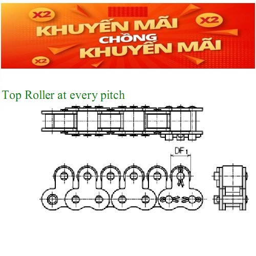Top Roller Chain 1