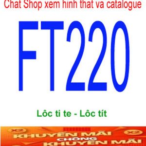 FT220-1