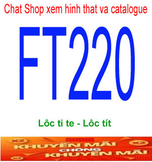 FT220-1