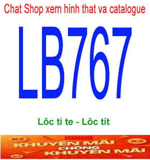 LB767-1