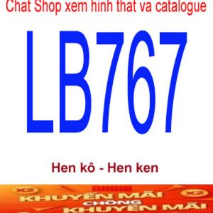 LB767-2