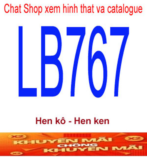 LB767-2